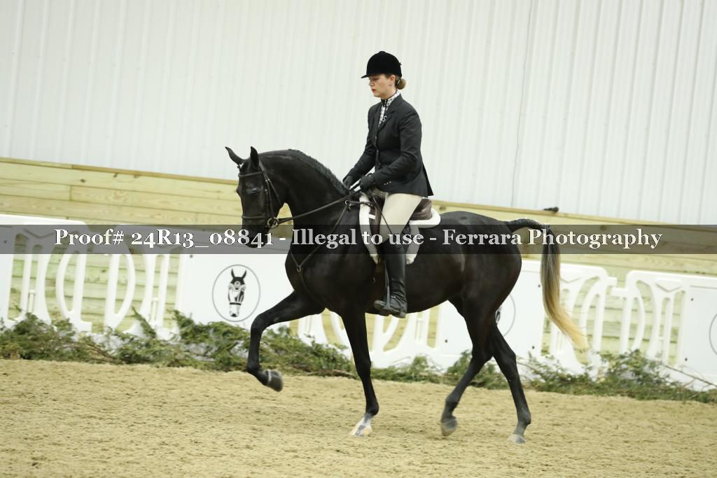 Proof Number 24R13_08841