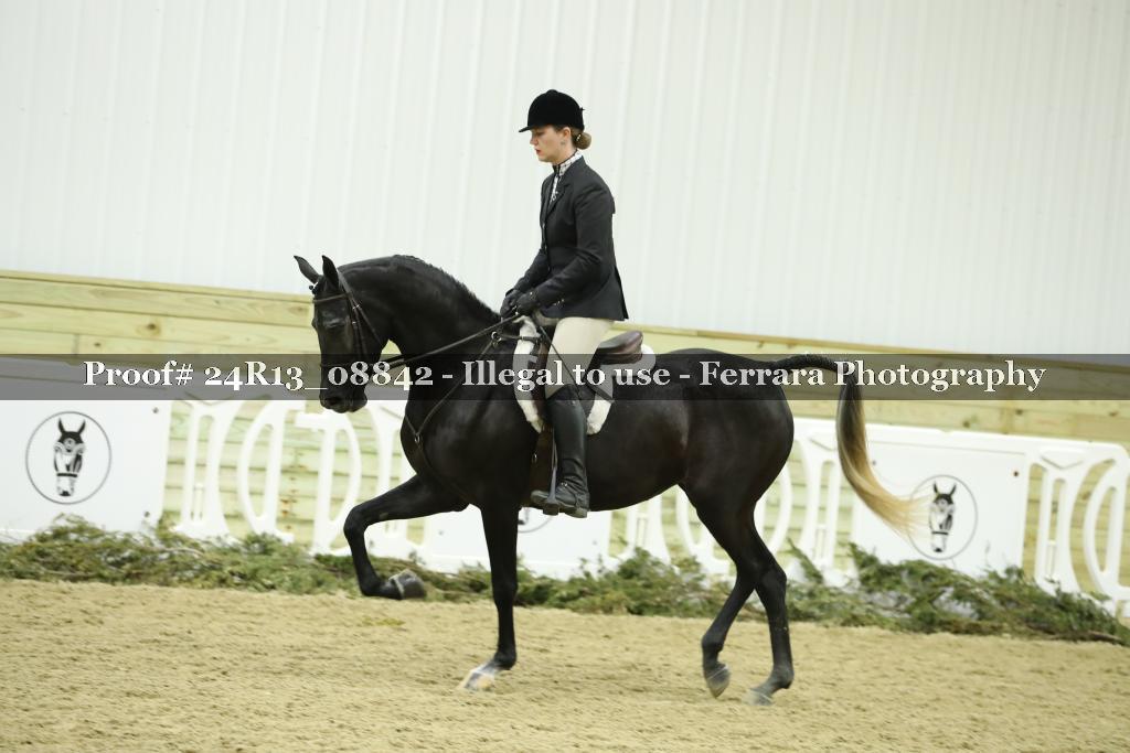 Proof Number 24R13_08842