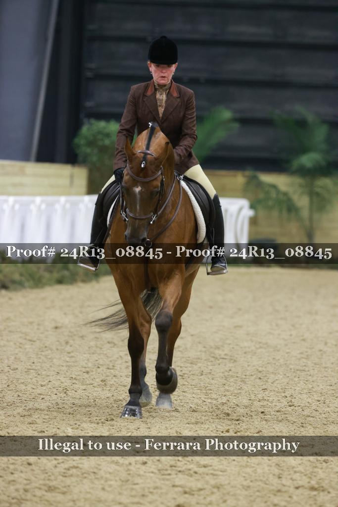 Proof Number 24R13_08845