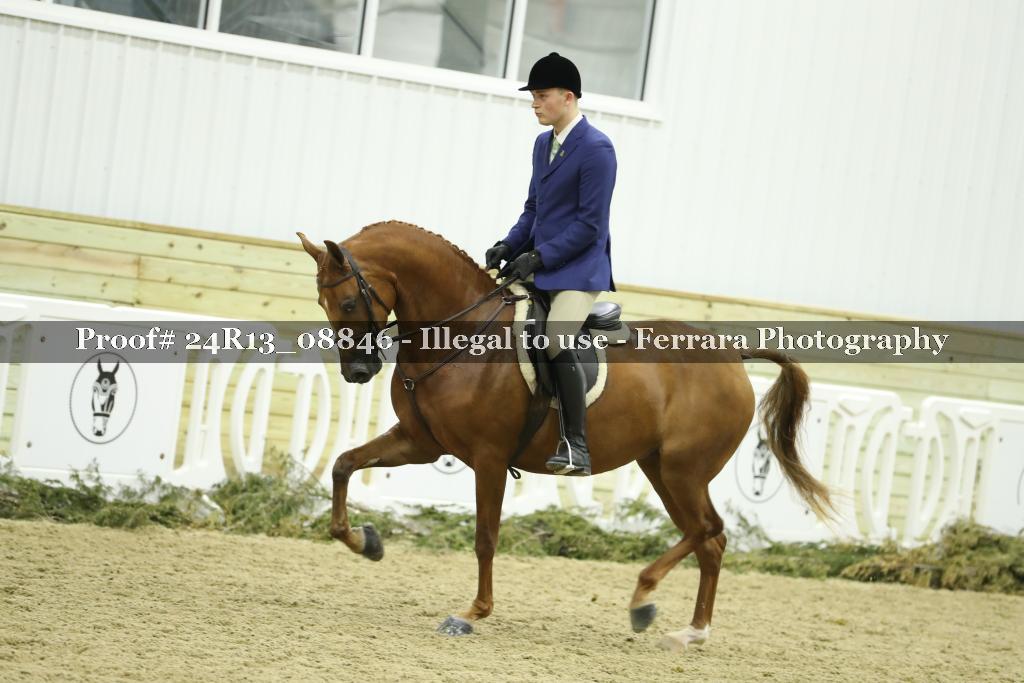 Proof Number 24R13_08846
