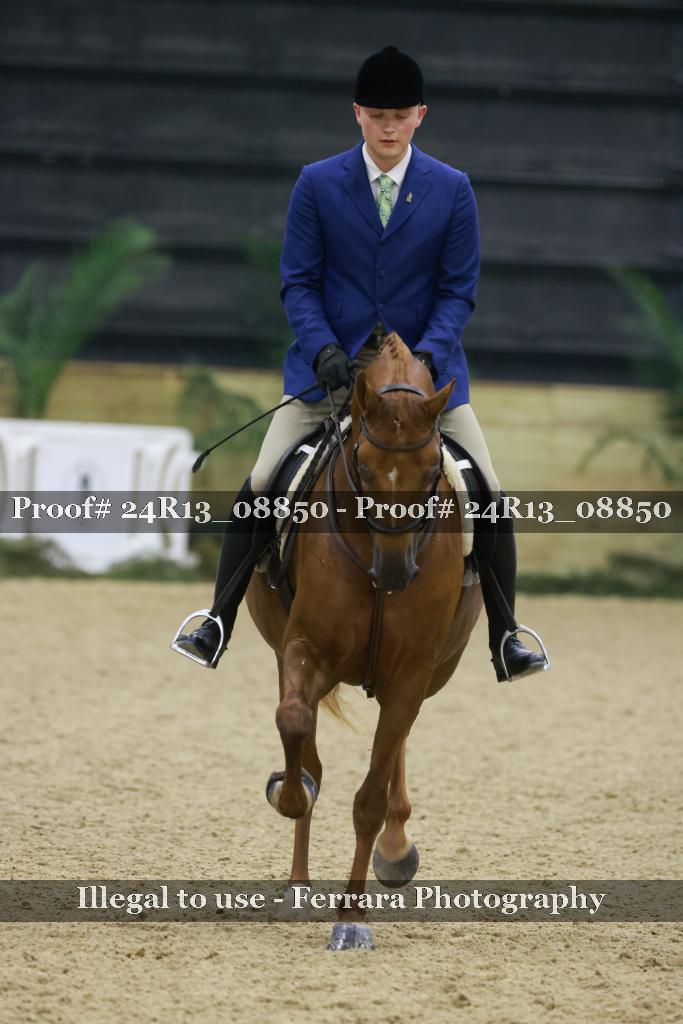 Proof Number 24R13_08850