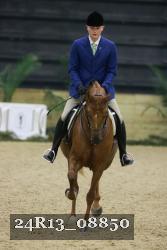 24R13_08850 thumbnail