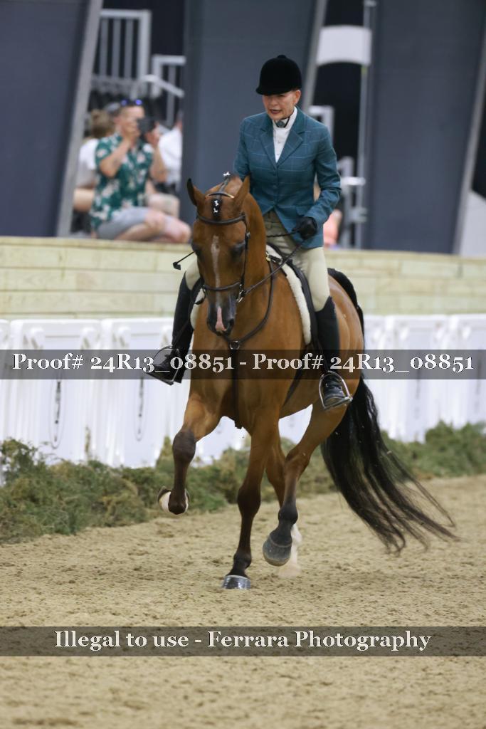 Proof Number 24R13_08851