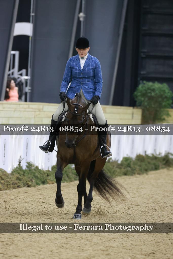 Proof Number 24R13_08854