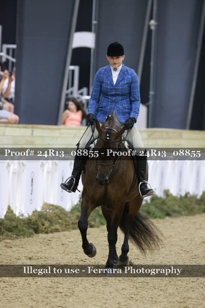 Proof Number 24R13_08855