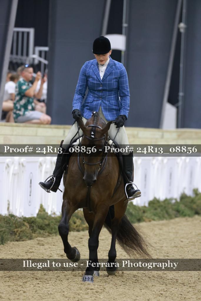 Proof Number 24R13_08856
