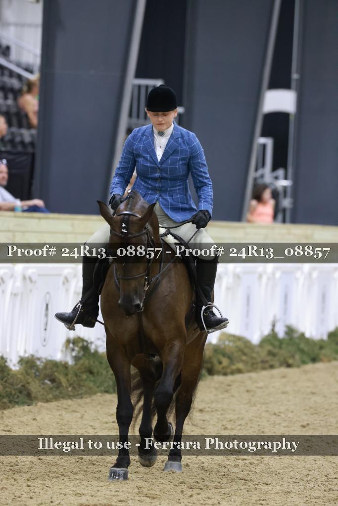 Proof Number 24R13_08857