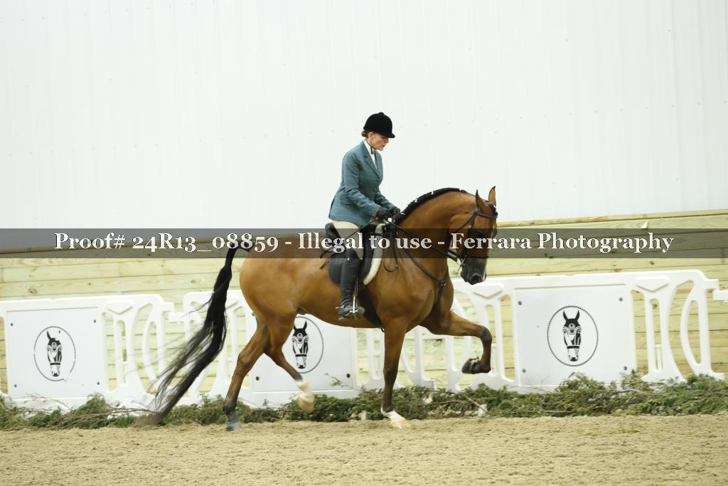Proof Number 24R13_08859