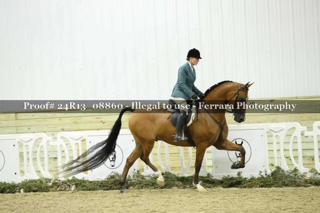 Proof Number 24R13_08860