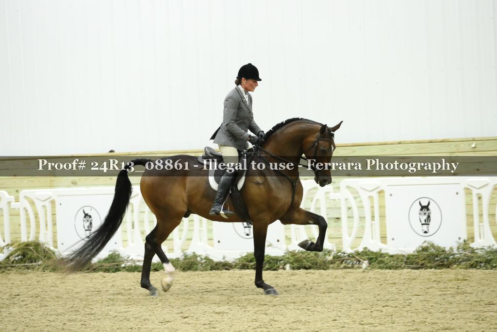 Proof Number 24R13_08861
