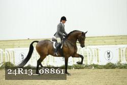 24R13_08861 thumbnail