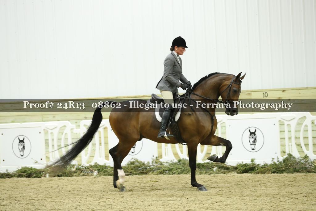 Proof Number 24R13_08862
