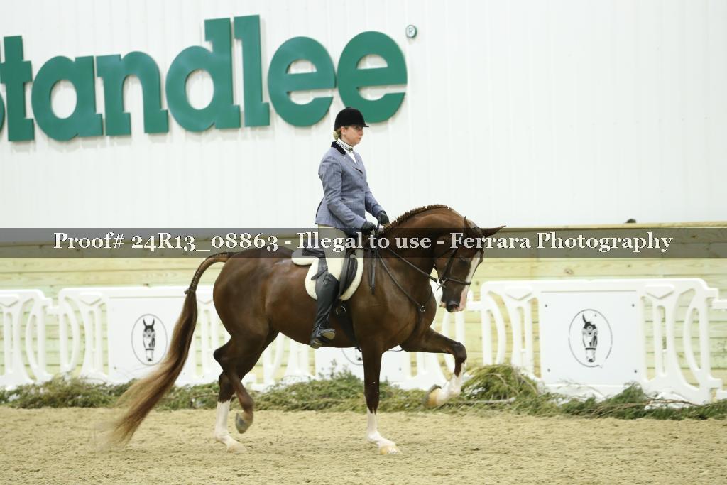 Proof Number 24R13_08863