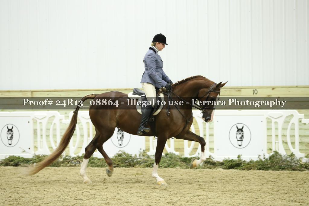 Proof Number 24R13_08864