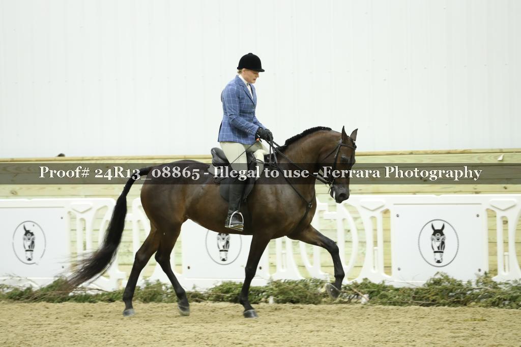 Proof Number 24R13_08865