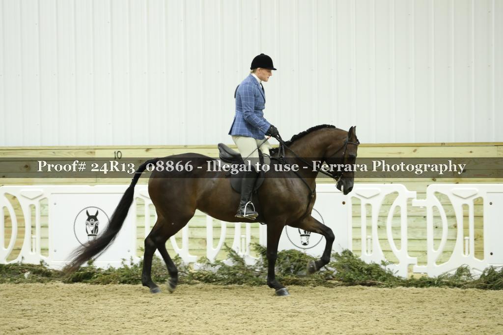 Proof Number 24R13_08866