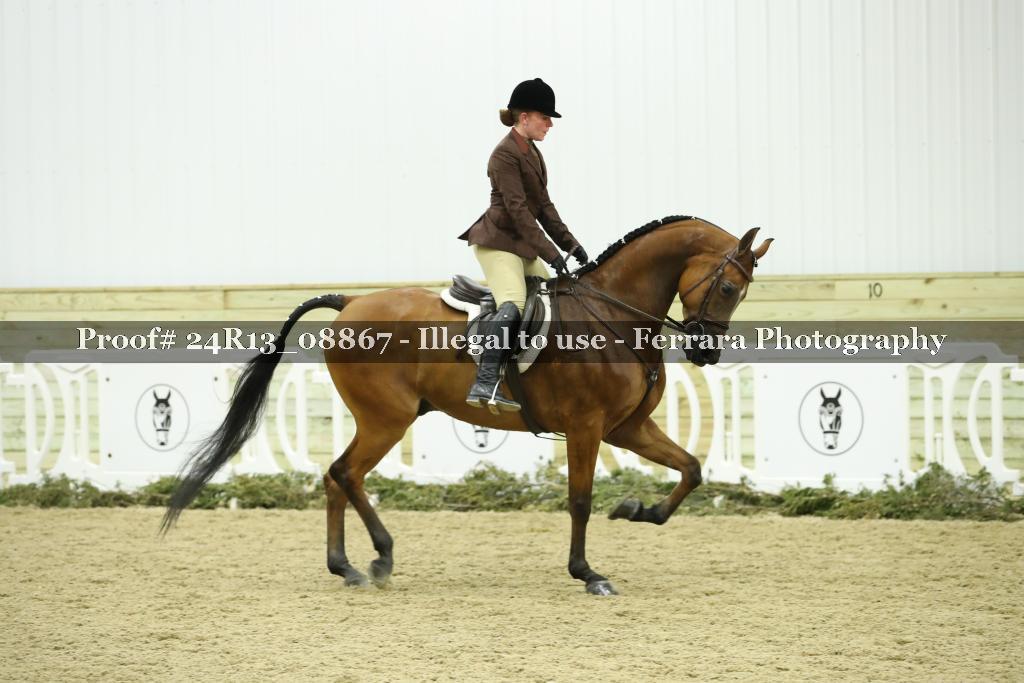 Proof Number 24R13_08867
