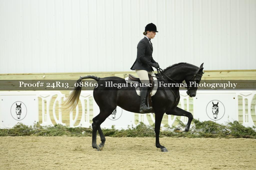 Proof Number 24R13_08869