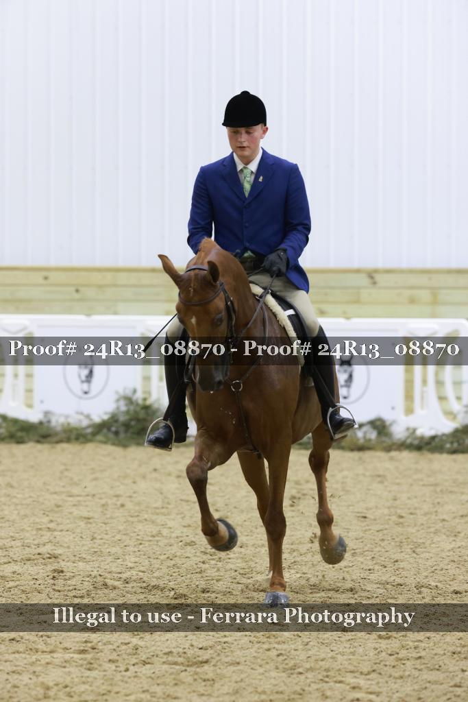 Proof Number 24R13_08870
