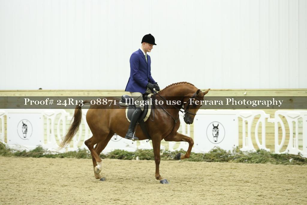 Proof Number 24R13_08871