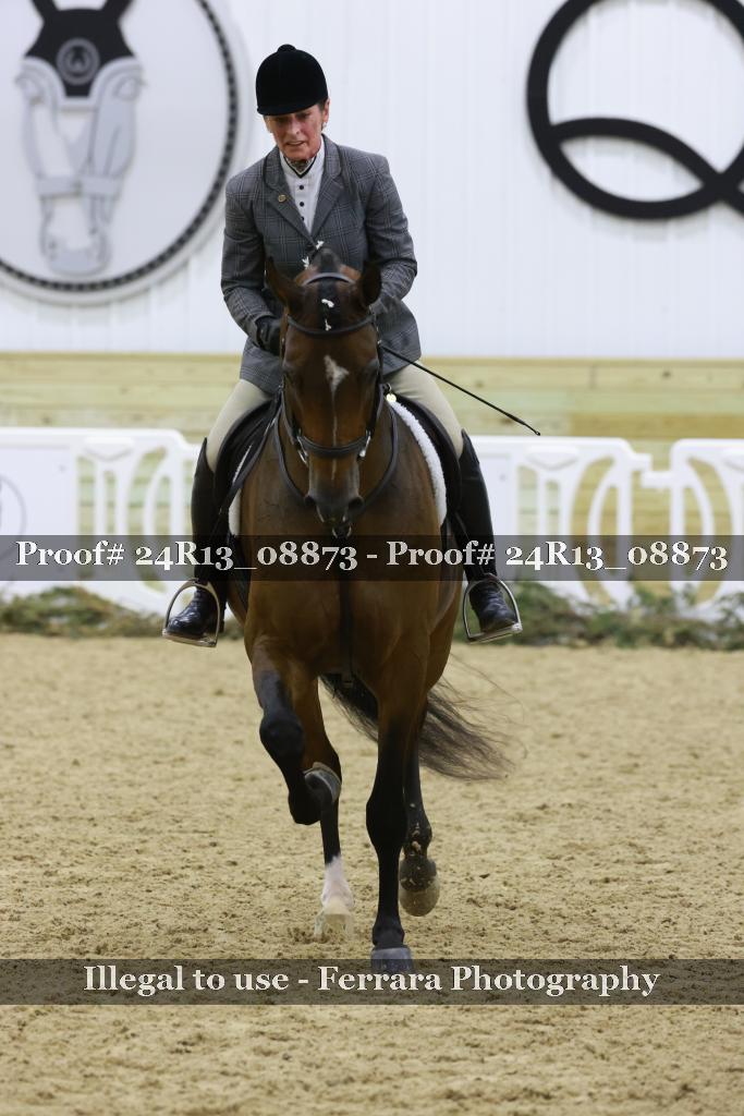 Proof Number 24R13_08873