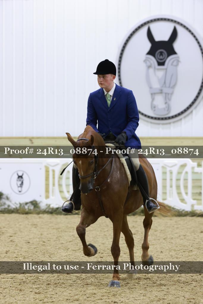 Proof Number 24R13_08874