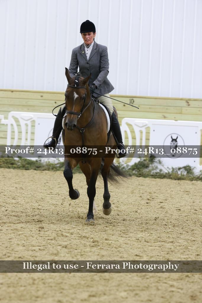 Proof Number 24R13_08875