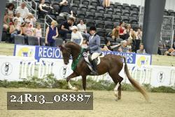 24R13_08887 thumbnail