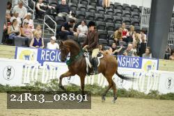 24R13_08891 thumbnail
