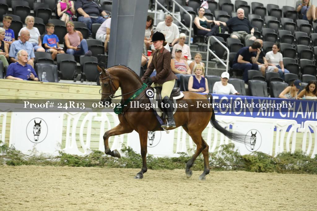 Proof Number 24R13_08892