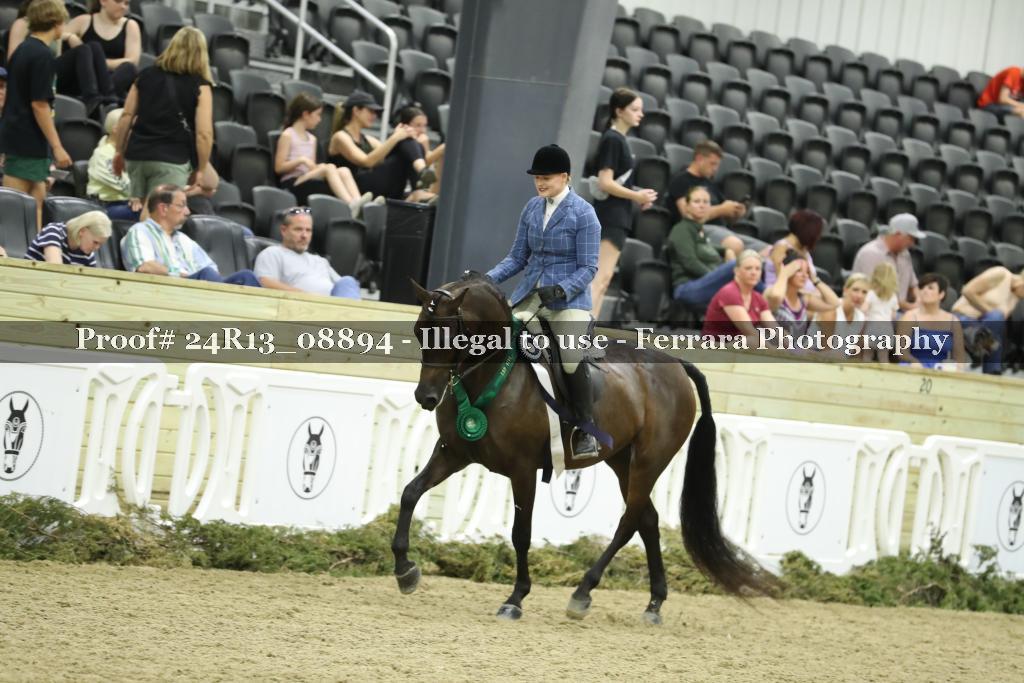 Proof Number 24R13_08894
