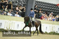 24R13_08894 thumbnail