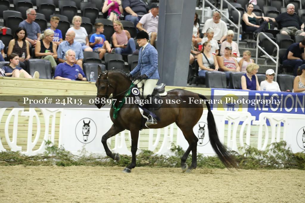 Proof Number 24R13_08897