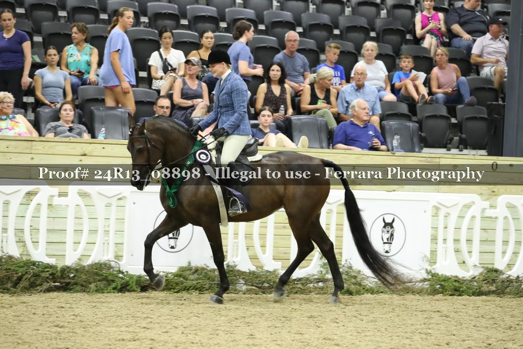 Proof Number 24R13_08898