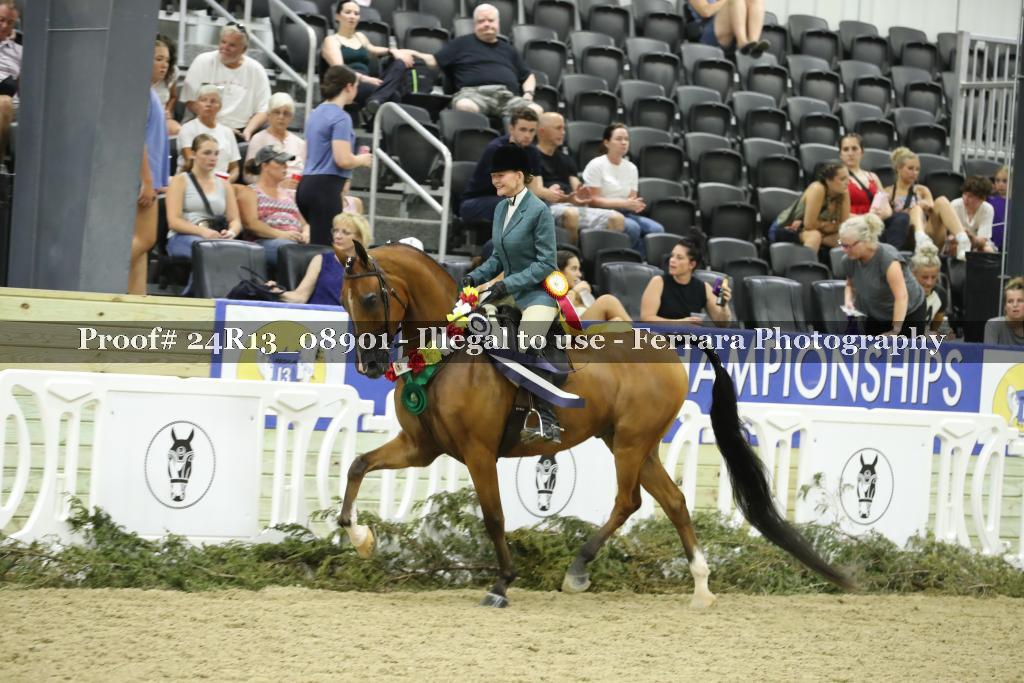 Proof Number 24R13_08901