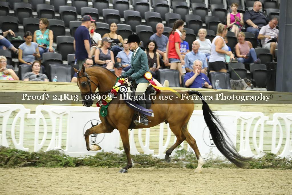 Proof Number 24R13_08902