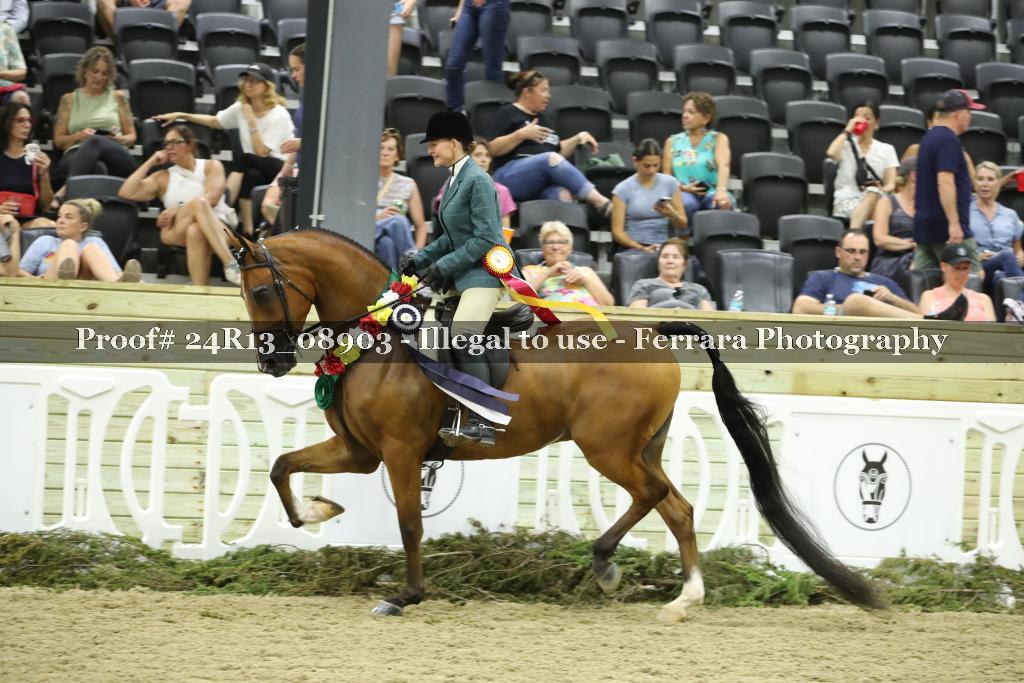 Proof Number 24R13_08903