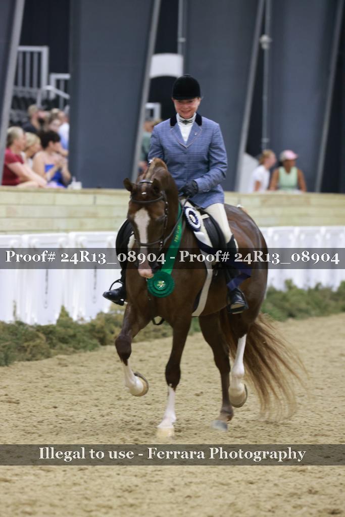 Proof Number 24R13_08904