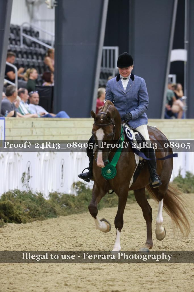 Proof Number 24R13_08905