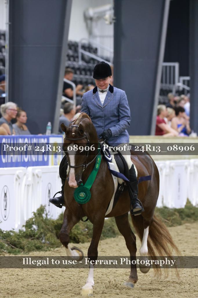 Proof Number 24R13_08906