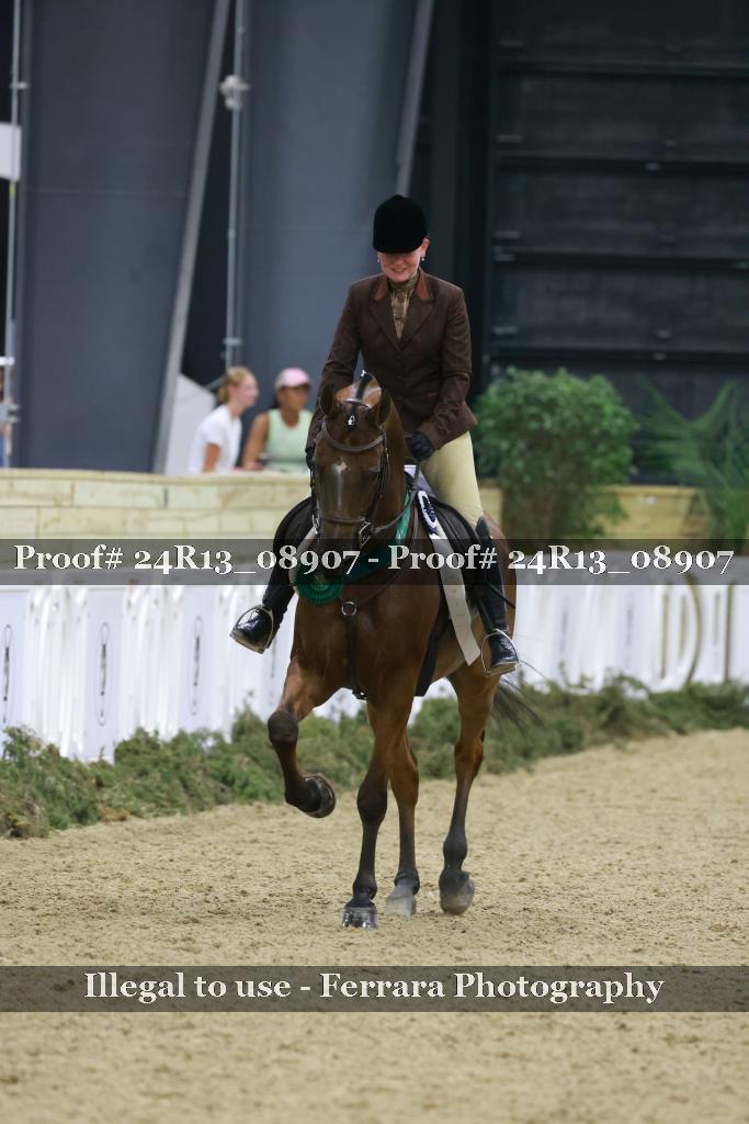 Proof Number 24R13_08907