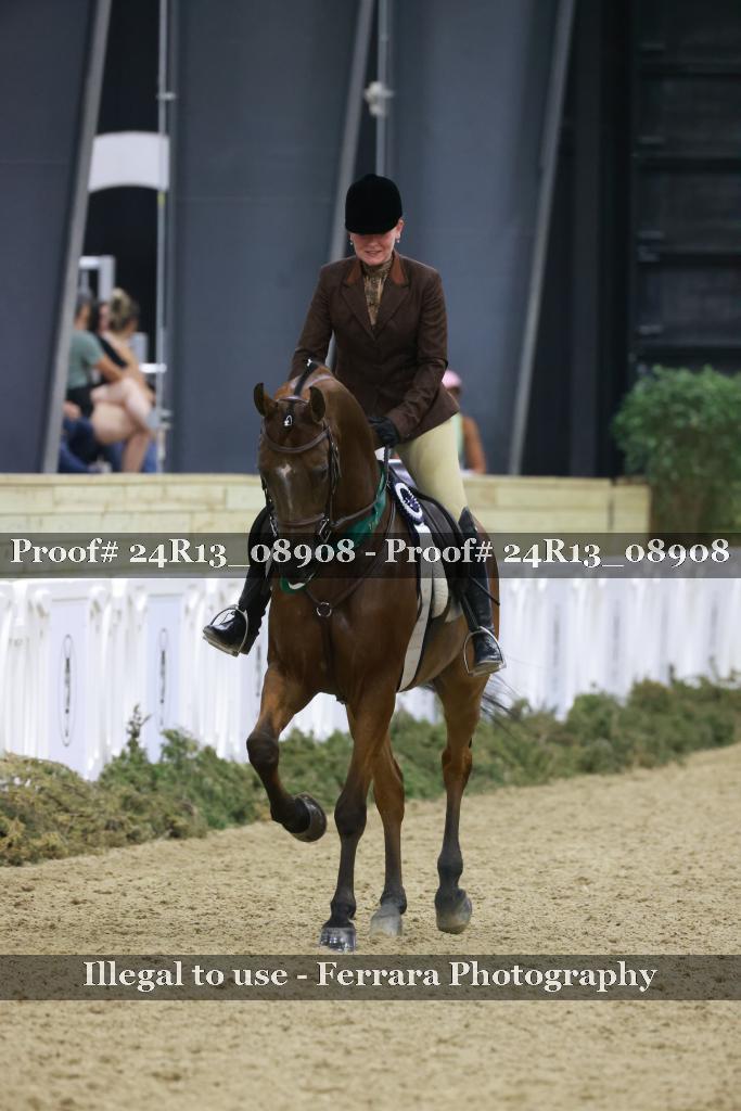 Proof Number 24R13_08908