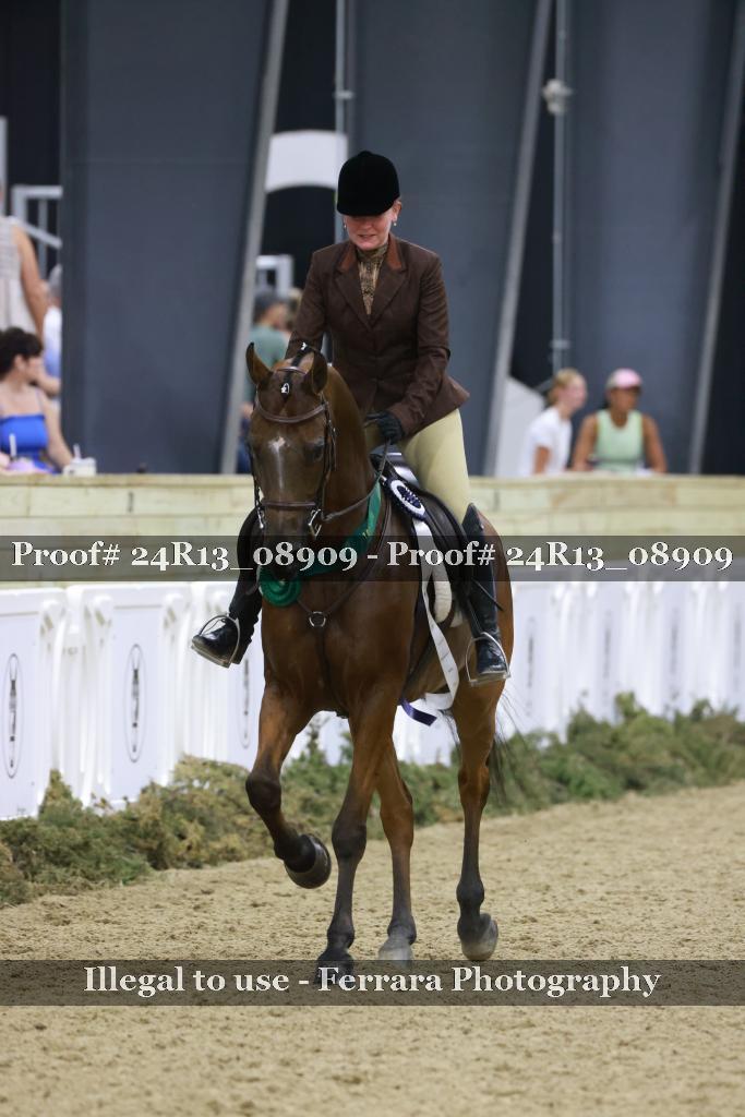 Proof Number 24R13_08909