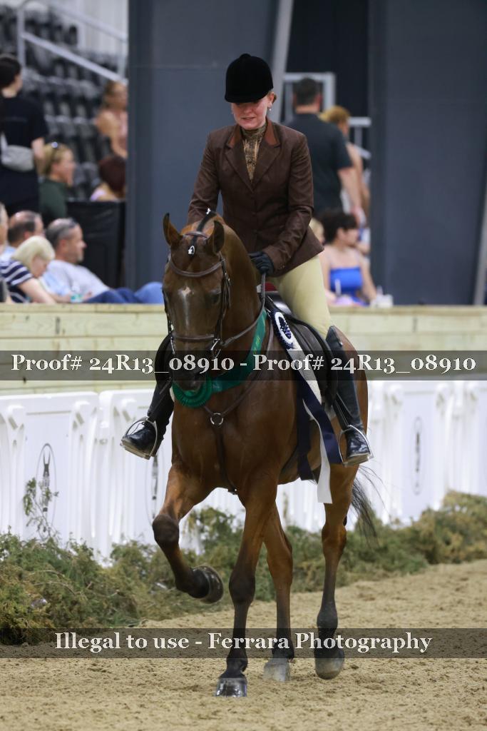 Proof Number 24R13_08910