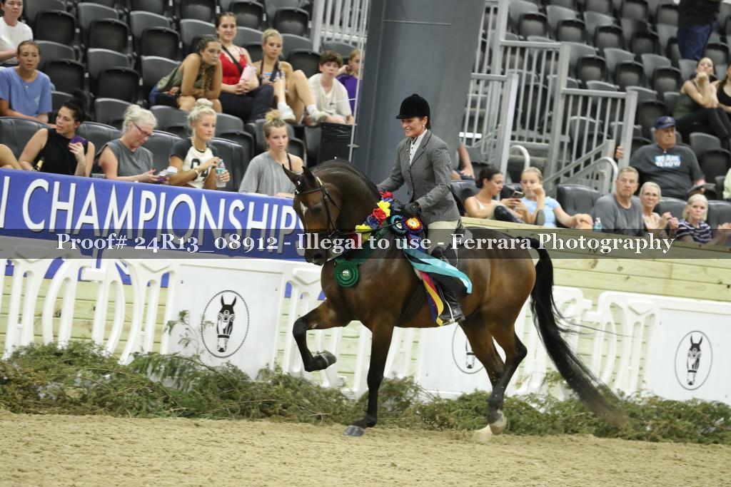 Proof Number 24R13_08912
