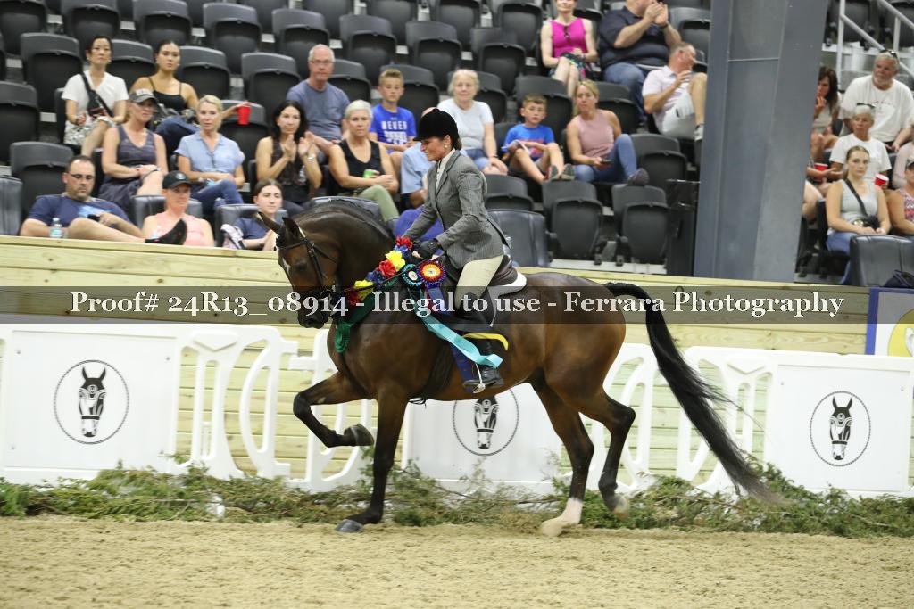 Proof Number 24R13_08914