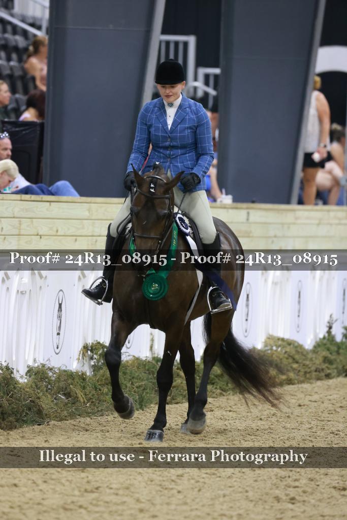 Proof Number 24R13_08915