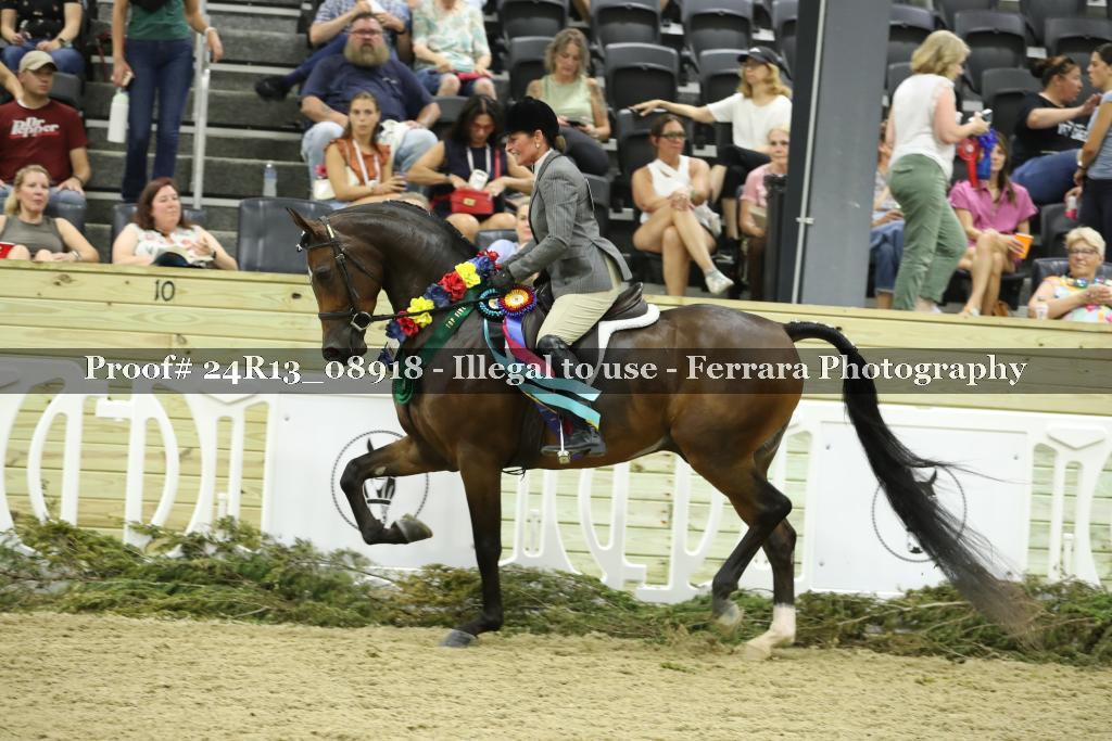 Proof Number 24R13_08918