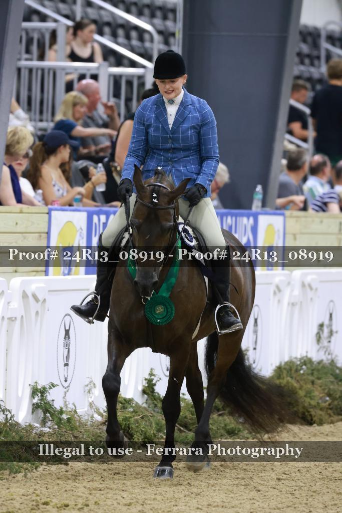 Proof Number 24R13_08919