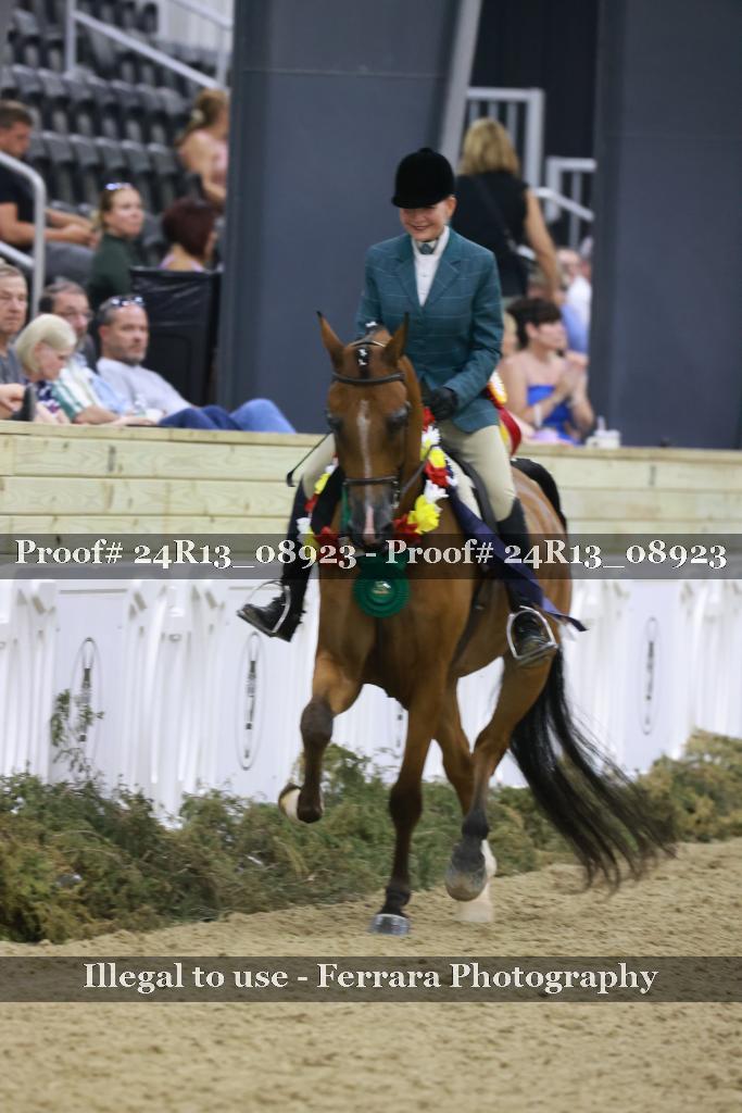 Proof Number 24R13_08923